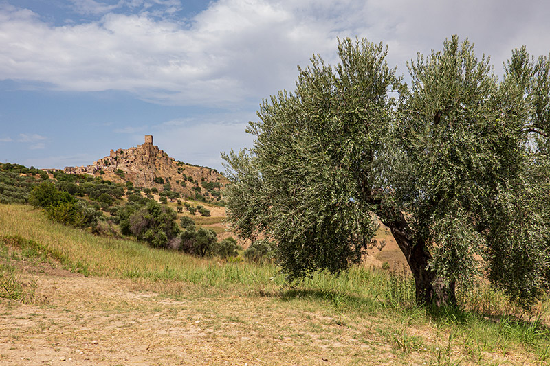 Matera